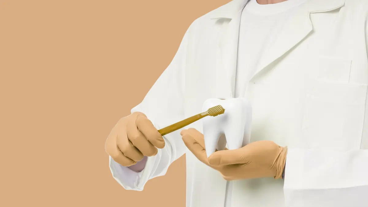 Dentist holding a tooth model and toothbrush to show oral hygiene
